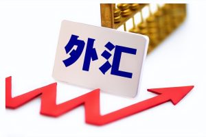 第二节 外汇交易中的汇率及标价方法