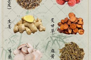 桂枝麻黄各半汤