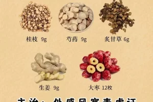 千古第一方—桂枝汤