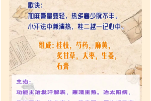 桂枝二越婢一汤