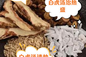 白虎加人参汤方